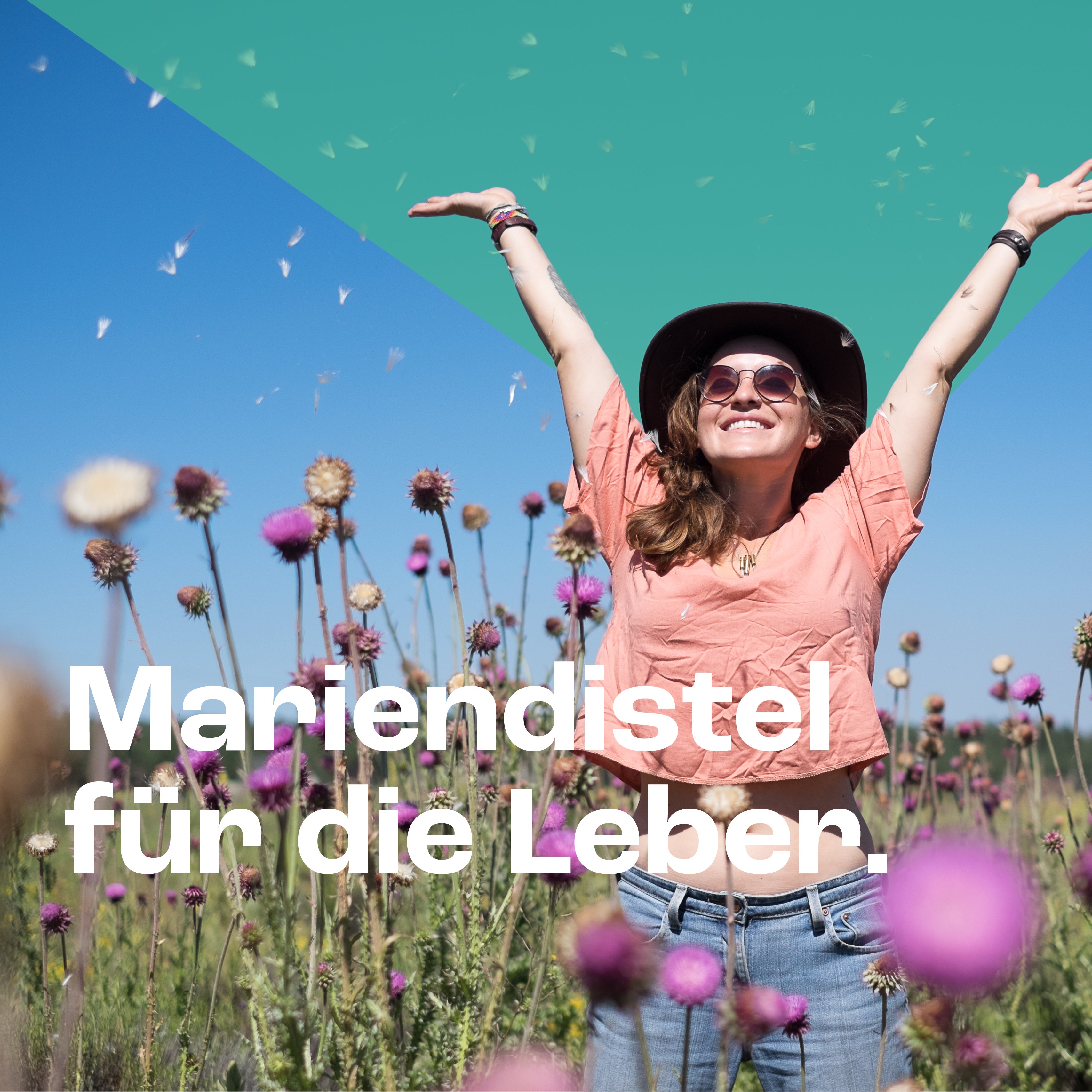 Mariendistel Bio Kapseln
