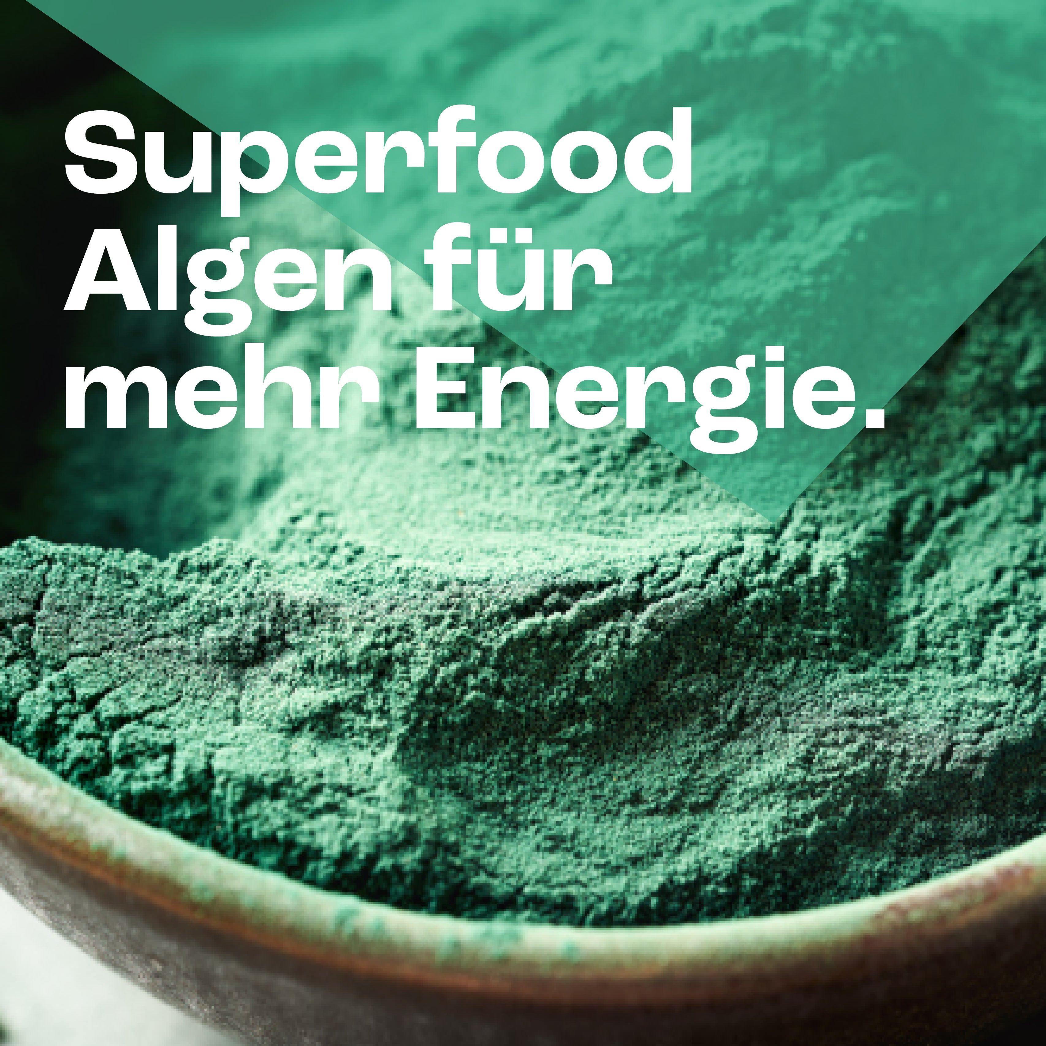 Spirulina Chlorella Kapseln