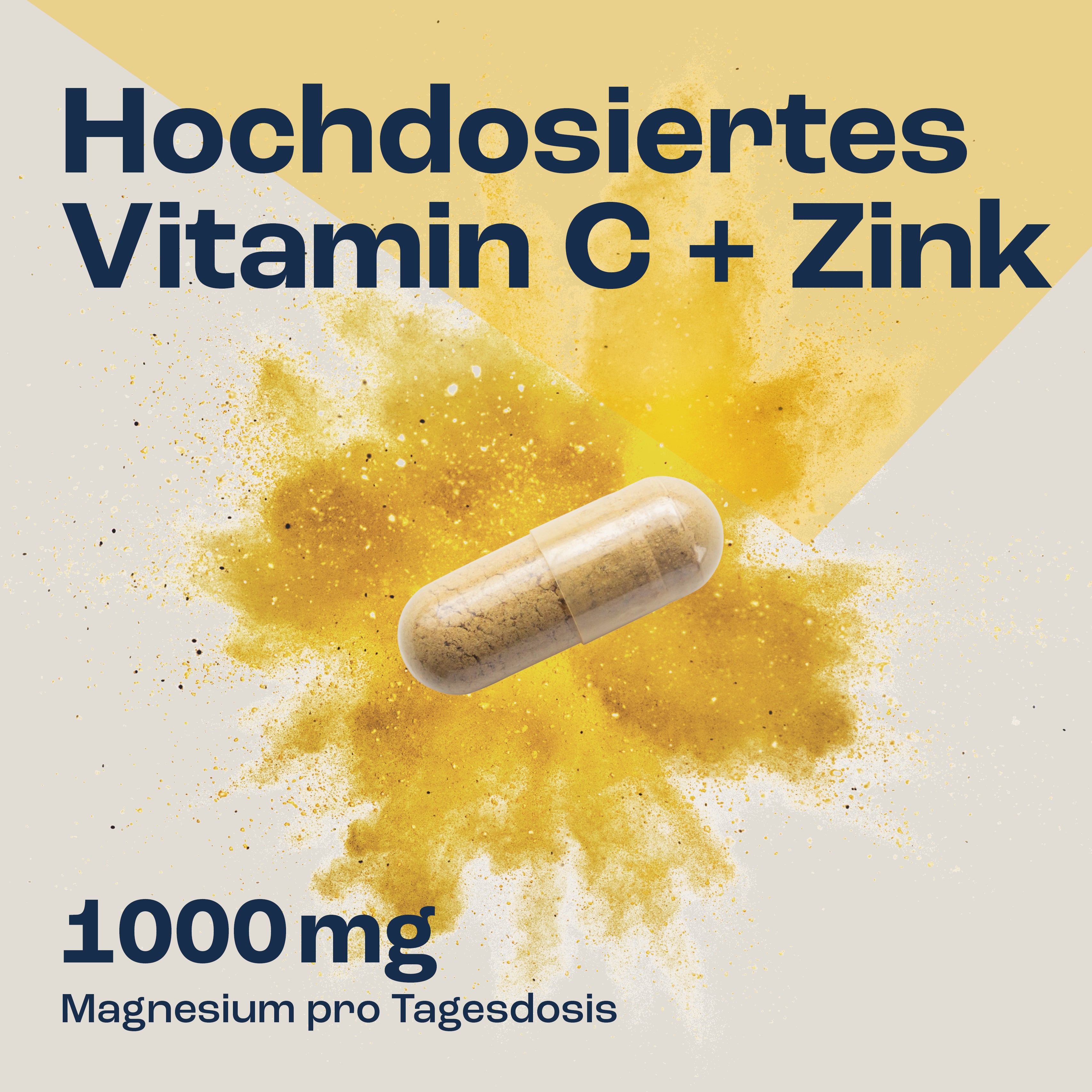 Vitamin C 1000mg + Zink 40mg Kapseln