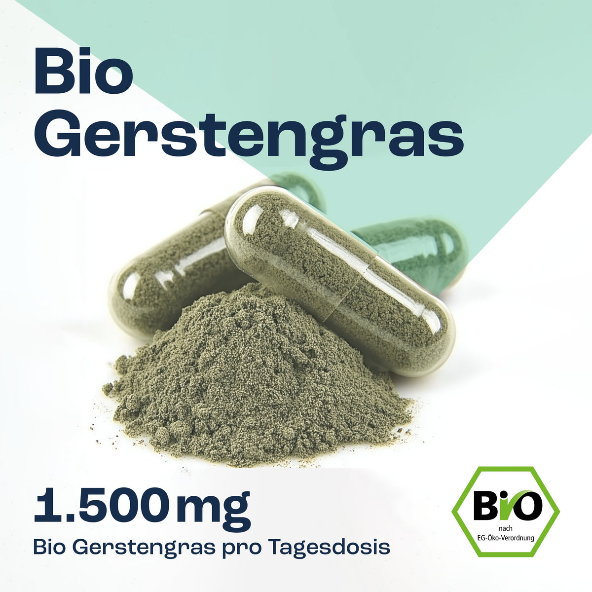 Gerstengras Bio Kapseln Kapseln GOaktiv® 
