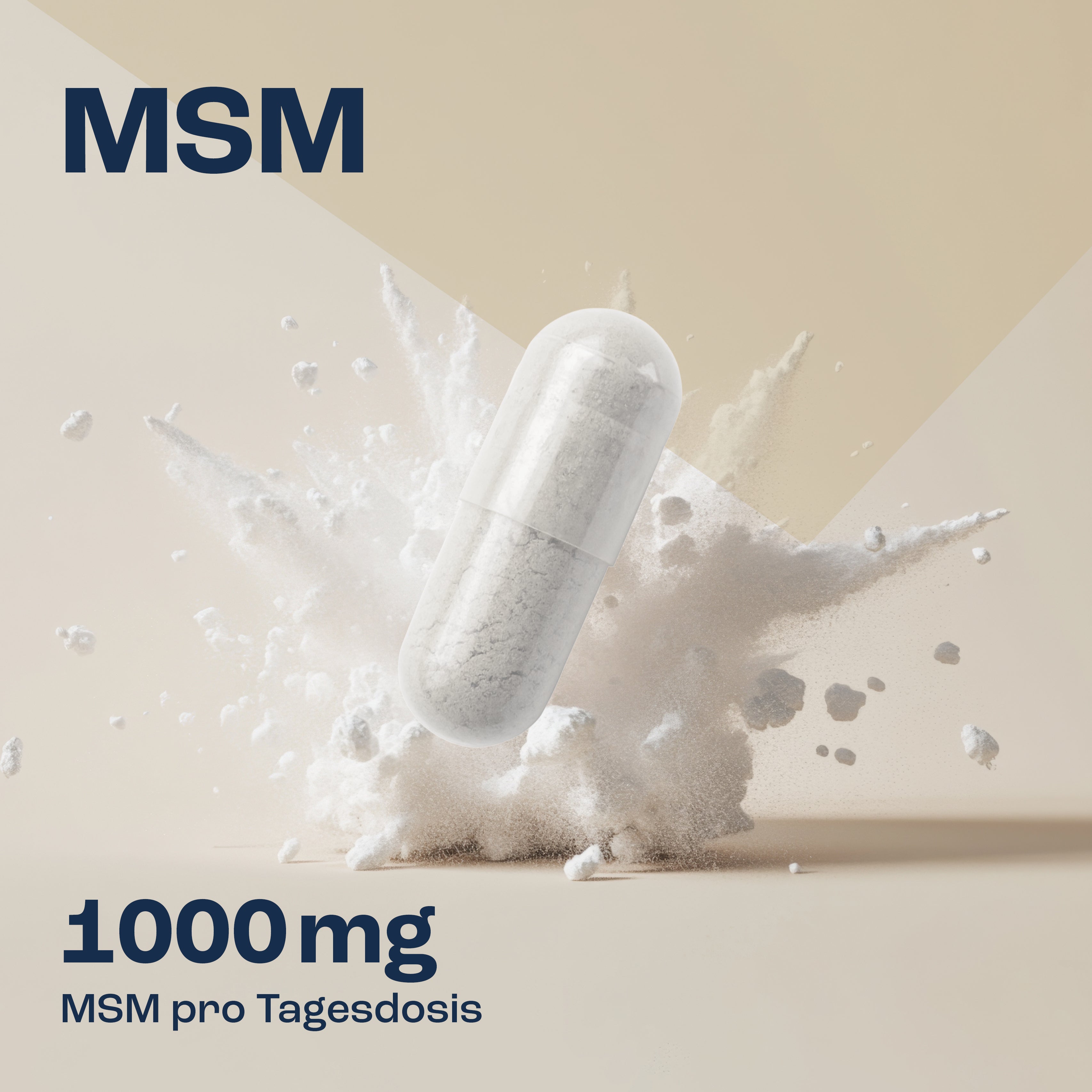 MSM Kapseln