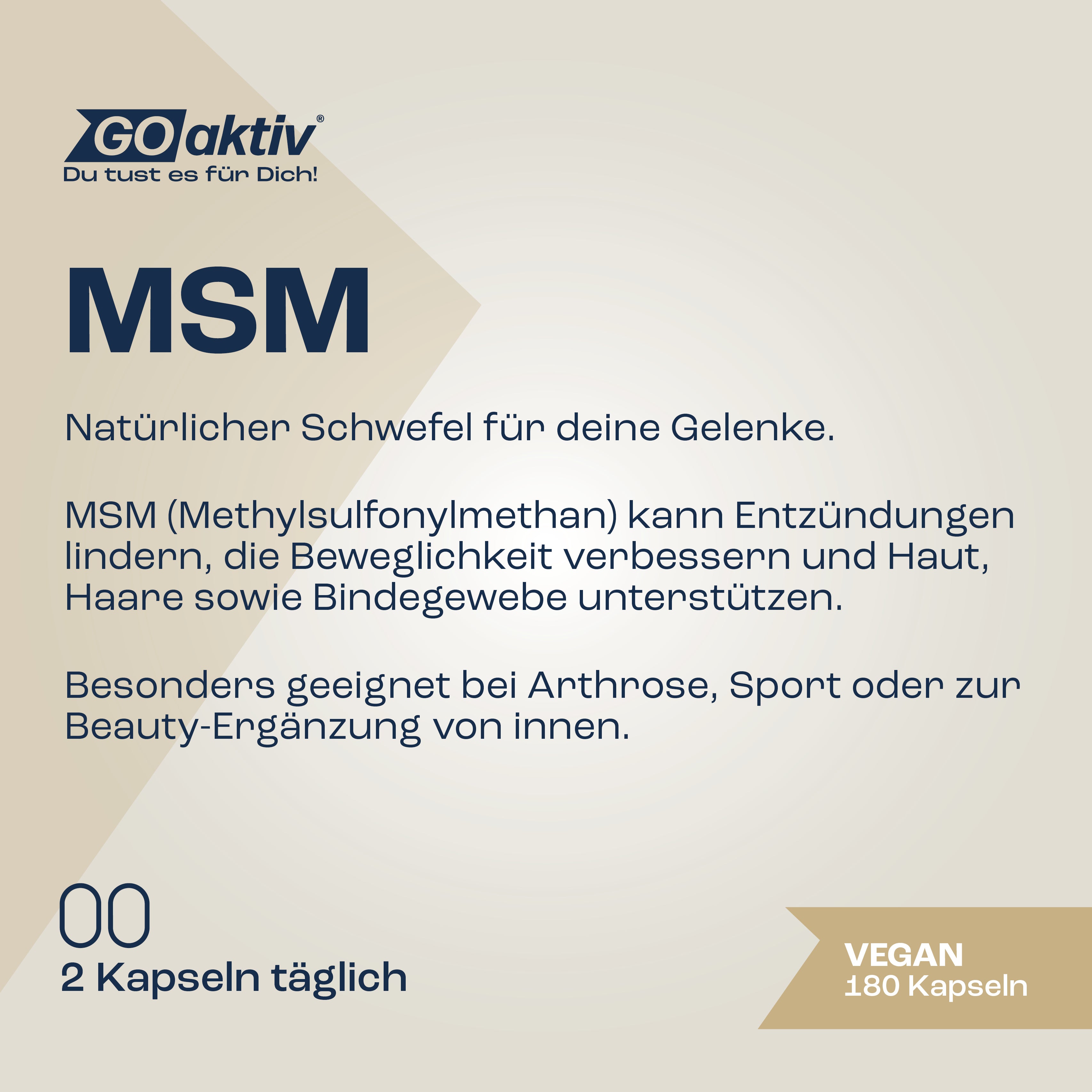 MSM Kapseln